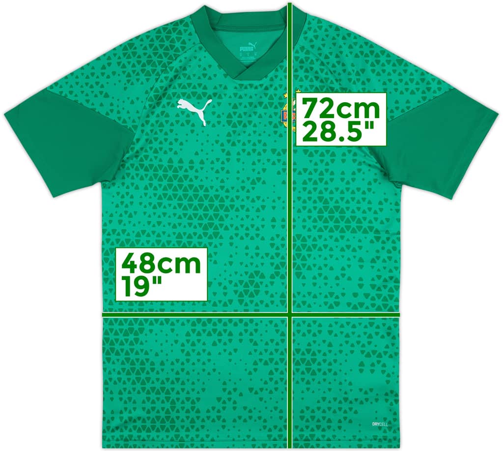 2023-24 Rapid Vienna Puma Training Shirt - 10/10 - (M)