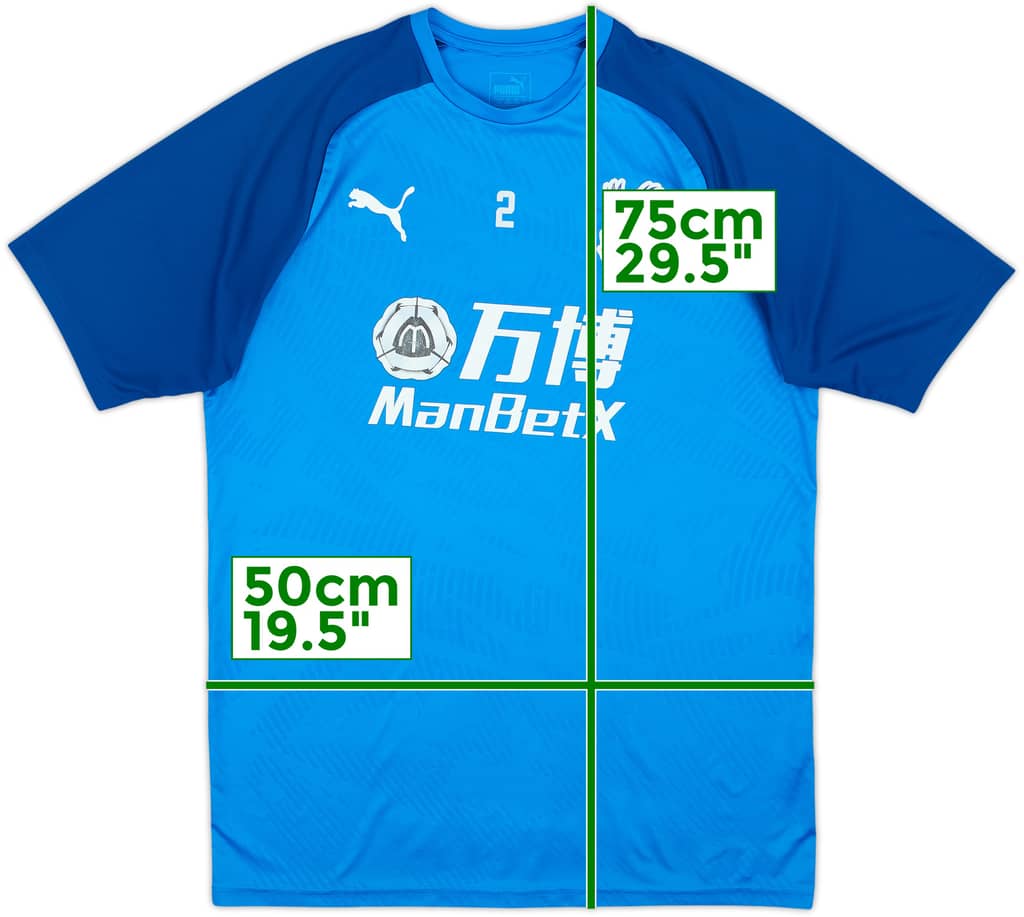 2018-19 Crystal Palace Player Issue Puma Training Shirt #2 - 6/10 - (L)