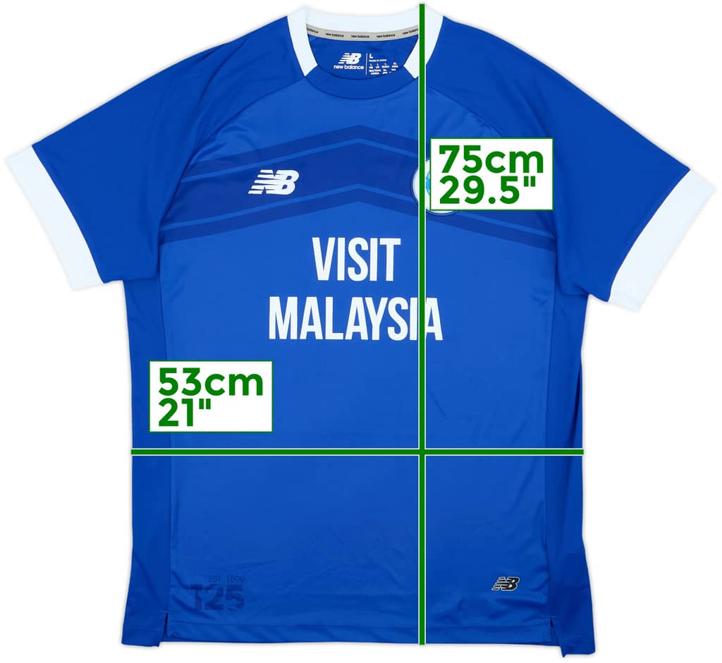 2024-25 Cardiff City Home Shirt - 10/10 - (L)