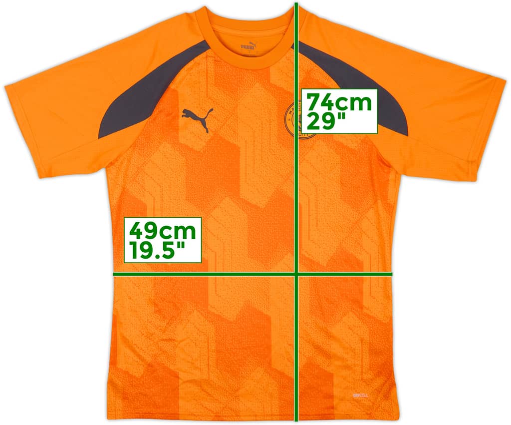 2023-24 Manchester City Puma Training Shirt - 10/10 - (L)