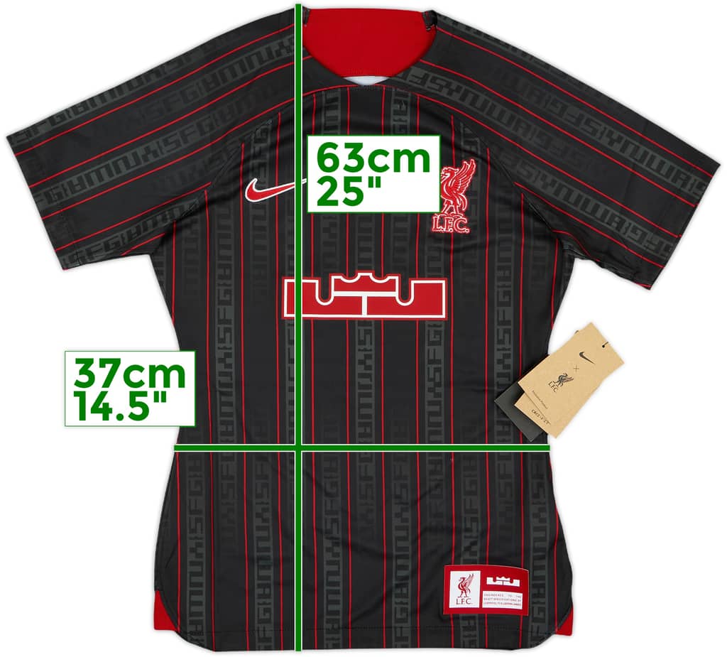 2023-24 Liverpool Nike x LeBron James Training Shirt (Women's XS)