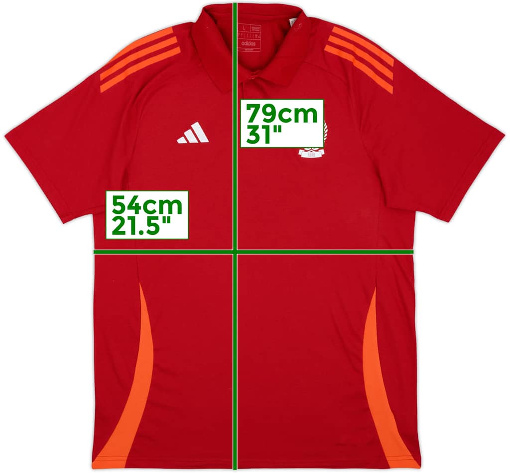 Polo adidas del Standard Liege 2024-25 - 9/10 - (L)