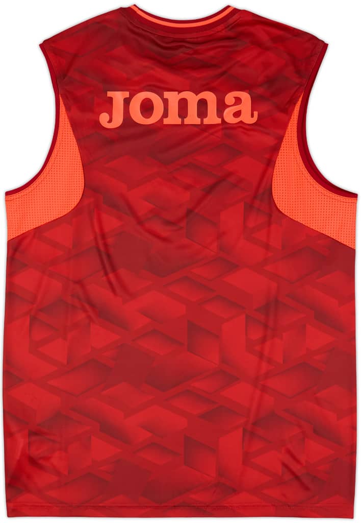 2023-24 Swansea City Joma Training Vest