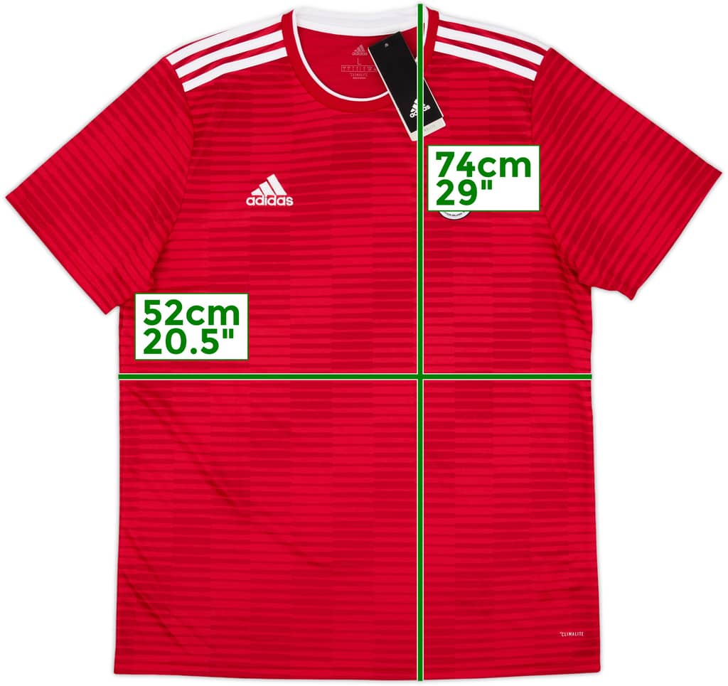 2018 Iran Away Shirt (L)