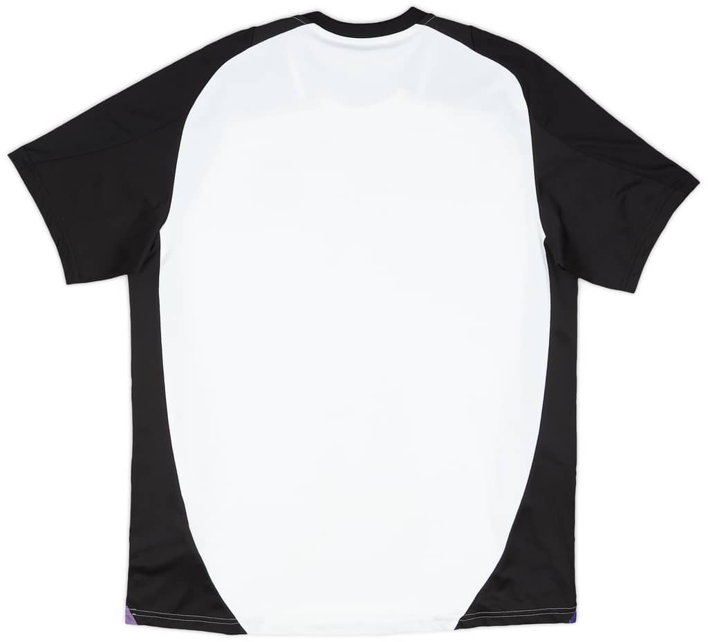 2024-25 Germany adidas Training Shirt