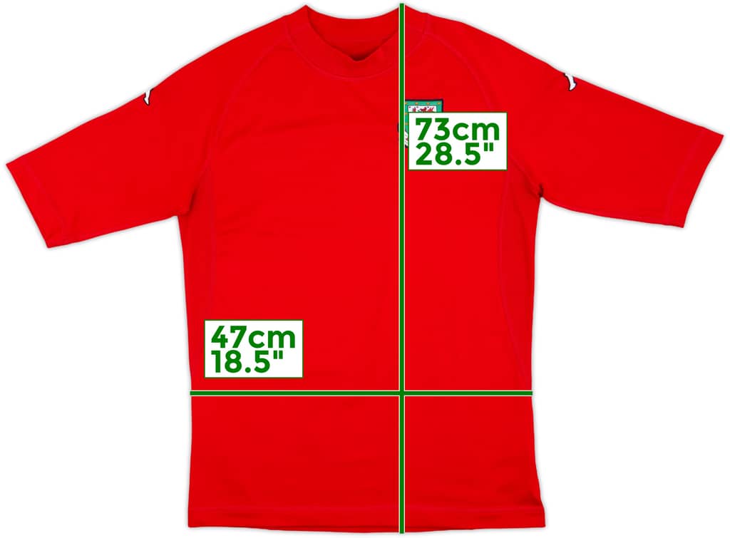 2004-06 Wales Home Shirt - 10/10 - (L)