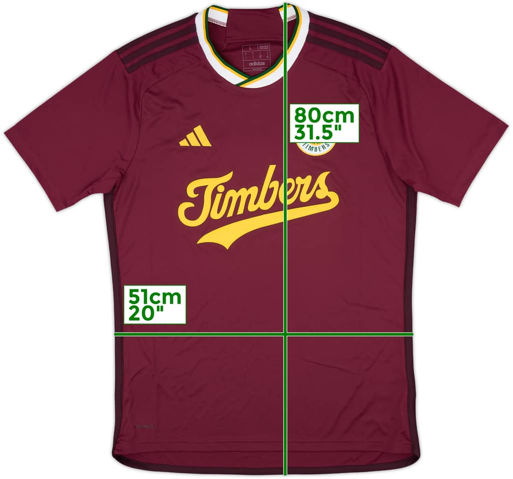 2024-25 Portland Timbers Third Shirt - 10/10 - (L)