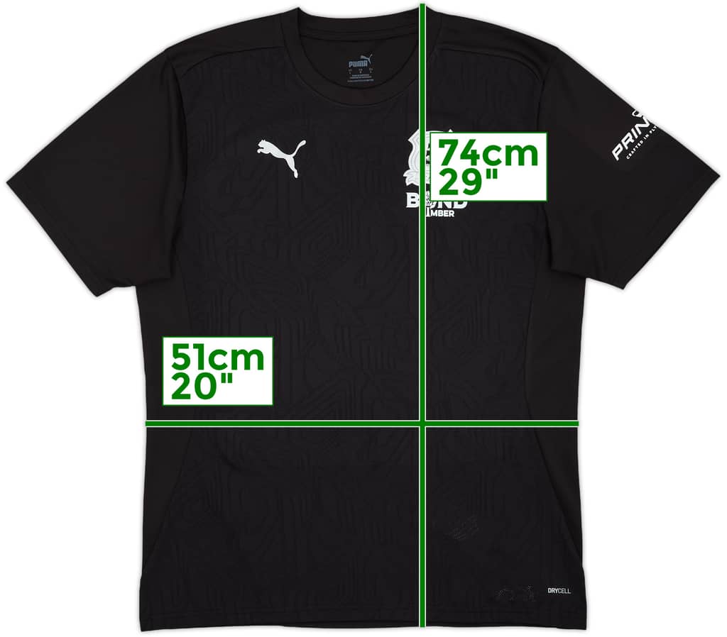 2023-24 Plymouth Puma Training Shirt - 10/10 - (L)