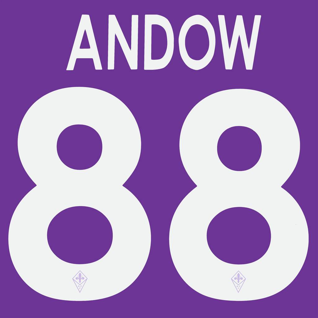 2013-14 Fiorentina Home Andow #88 Nameset
