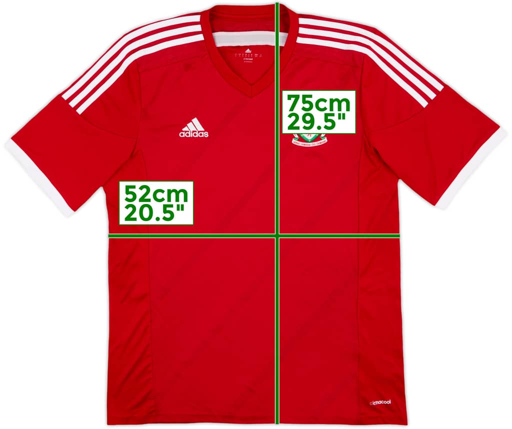 2013-15 Wales Home Shirt - 9/10 - (L)