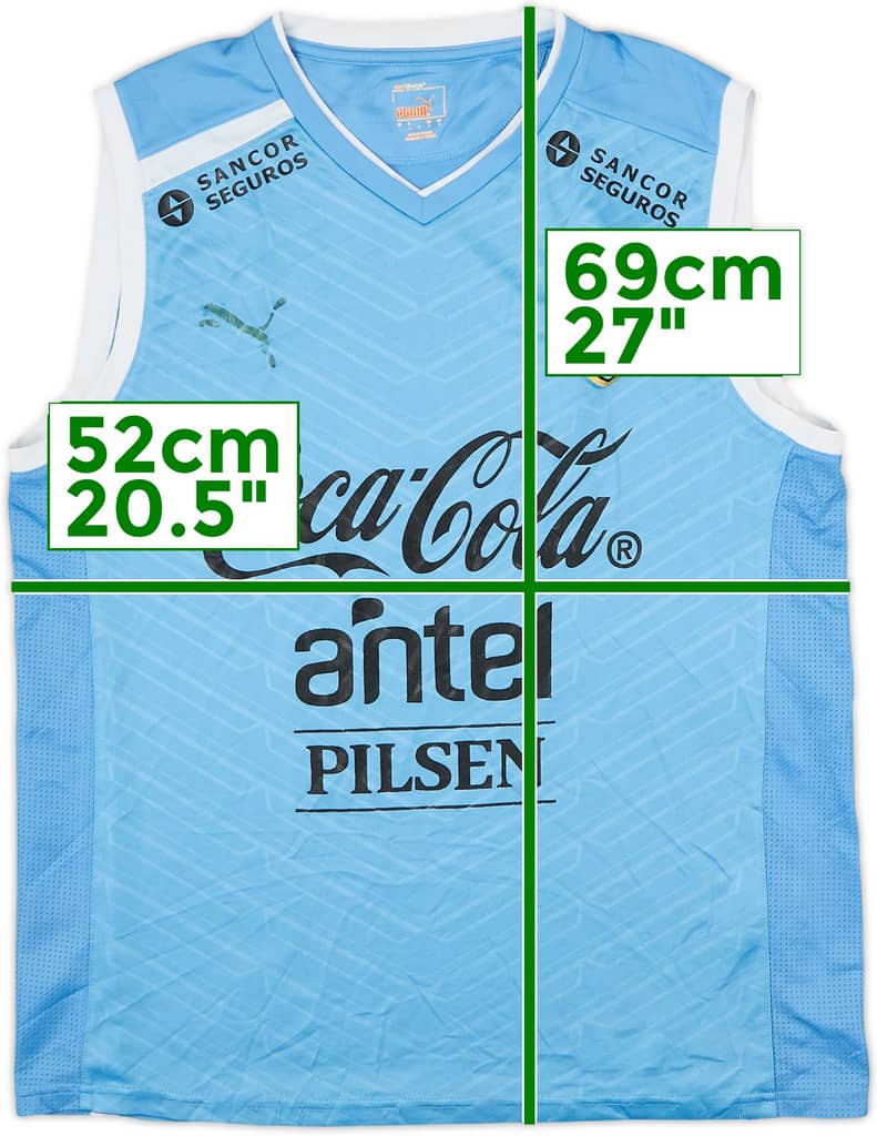 2010-12 Uruguay Player Issue Puma Training Vest - 5/10 - (L)