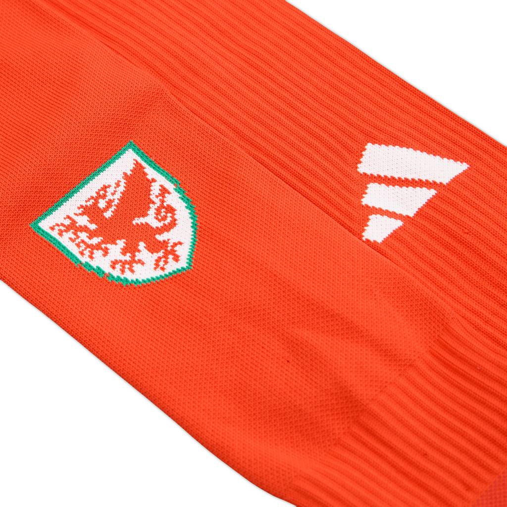 2022-23 Wales Home Socks (KIDS)