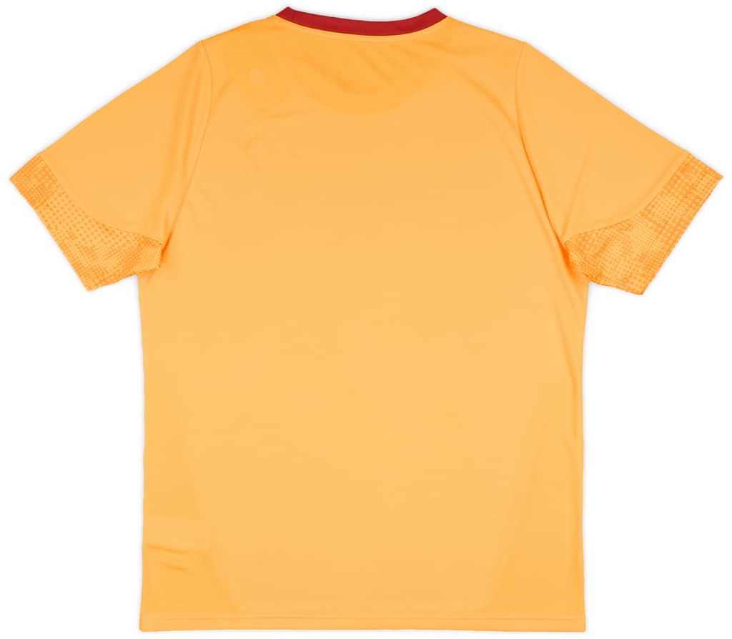2025-26 Galatasaray Puma Training Shirt