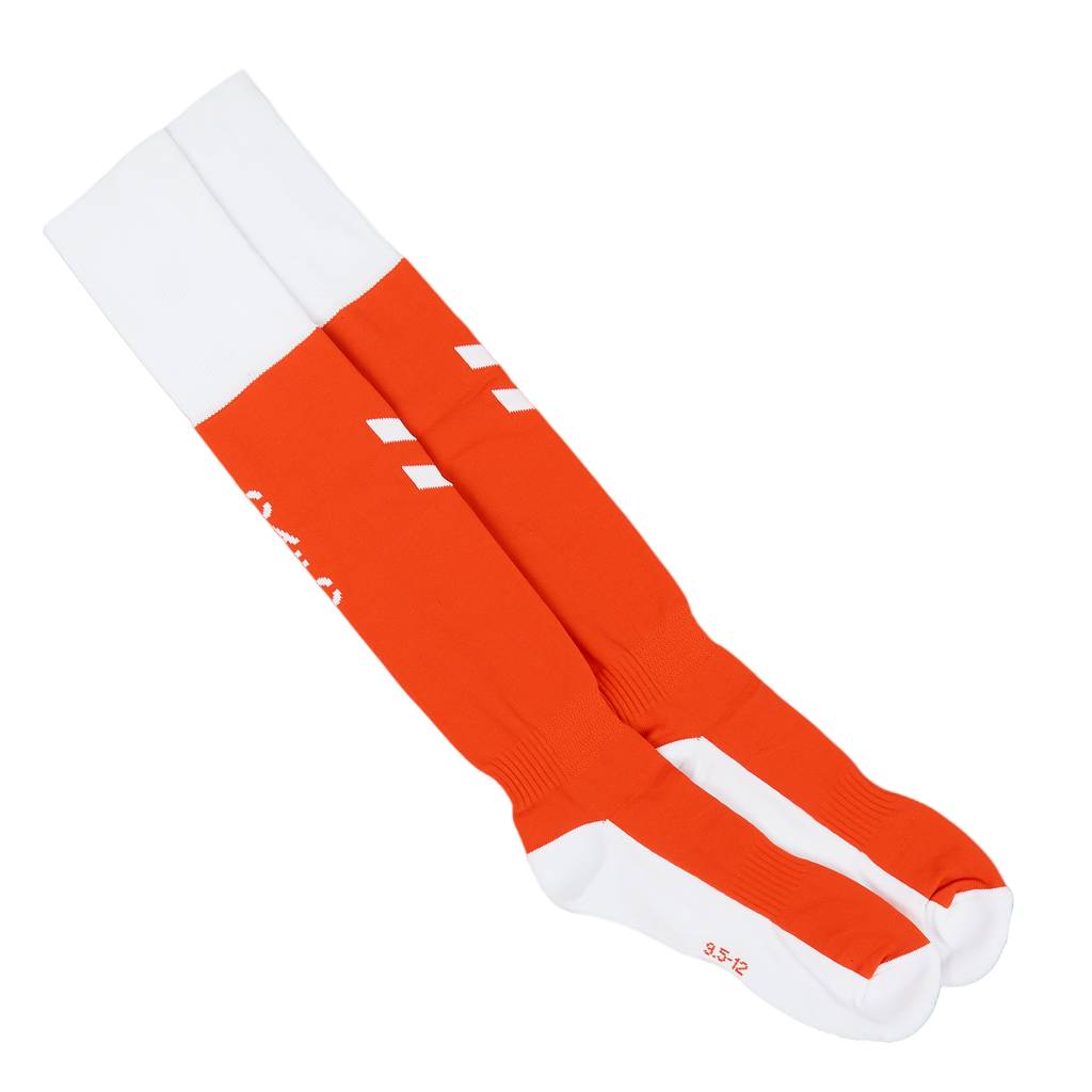 2021-22 Charlton GK Socks