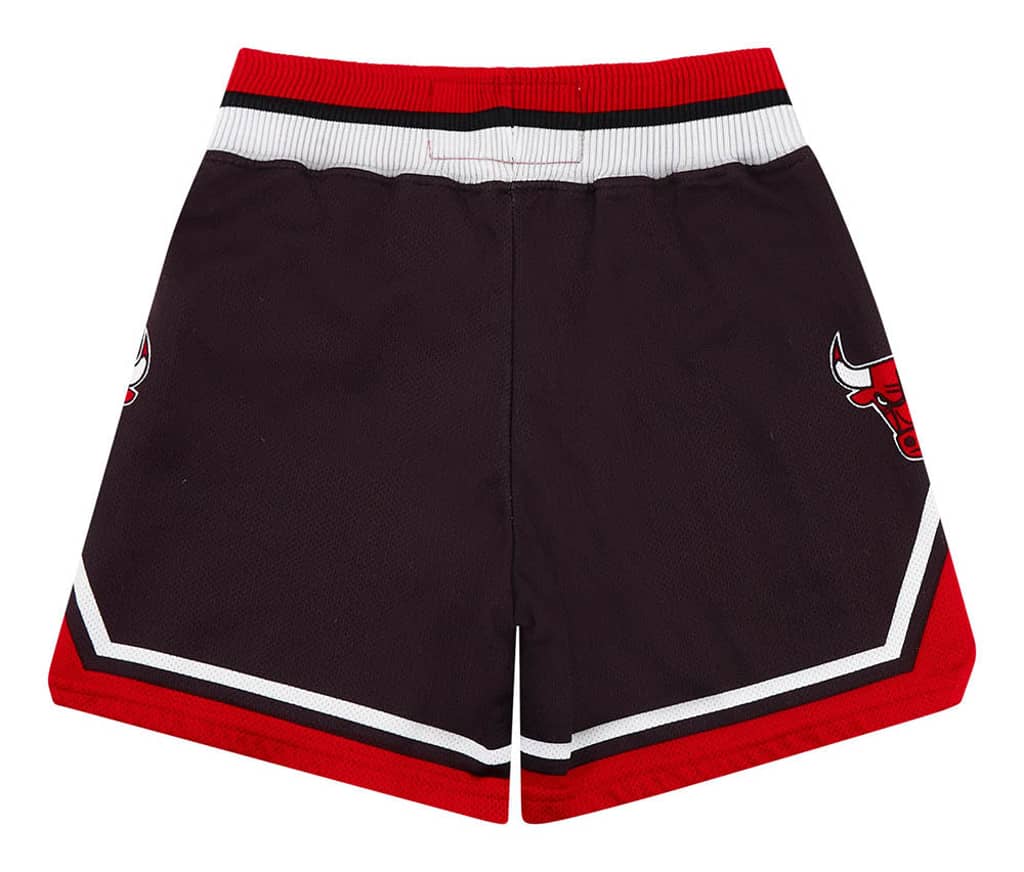 1990s Chicago Bulls Champion Shorts (Alternate) Y