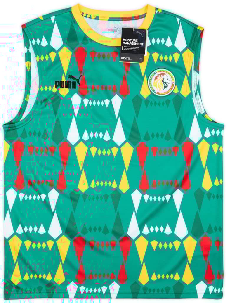 2023-24 Senegal Puma FtblCulture Vest