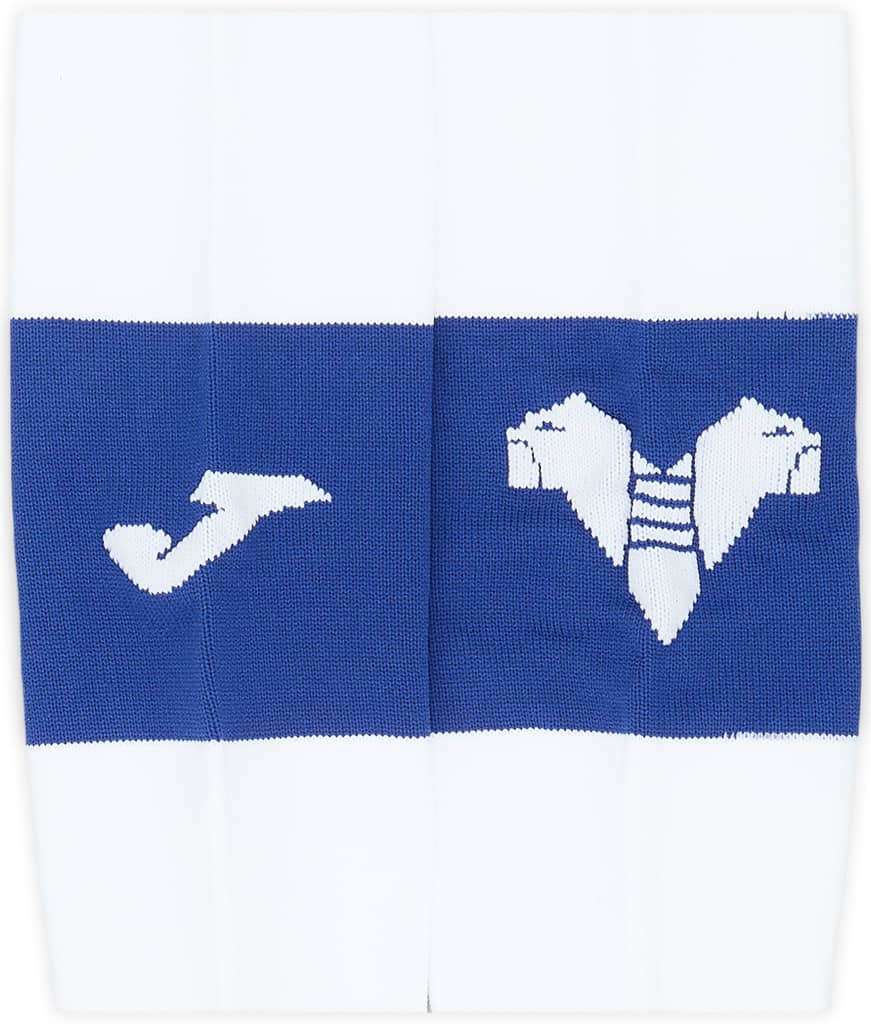 2023-24 Hellas Verona Third Socks (9-11)
