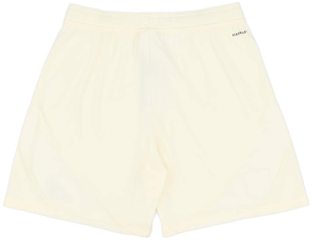 2024-25 Lyon Third Shorts
