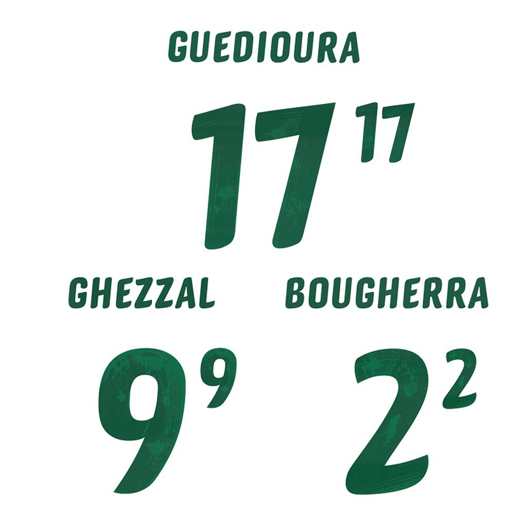 2010-11 Algeria Home Name Set