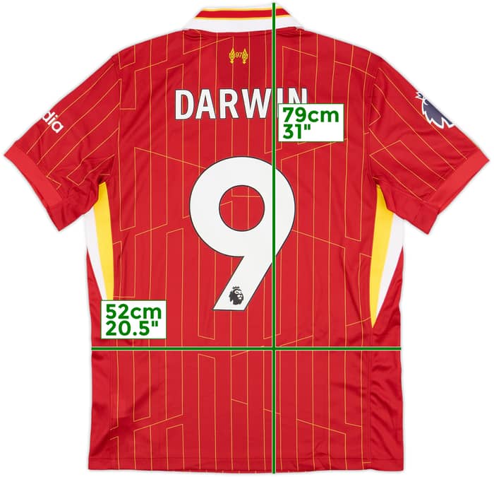 2024-25 Liverpool Home Shirt Darwin #9 - 10/10 - (M)