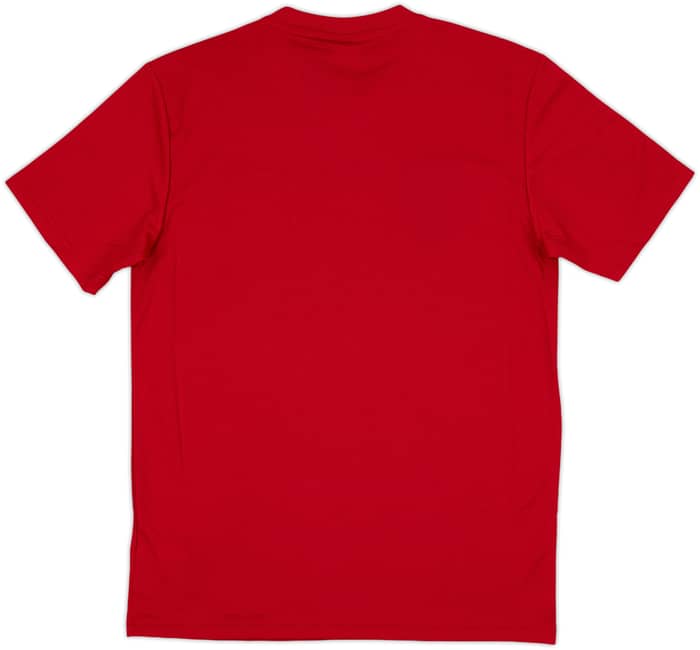 2013-14 Spain '2010 Campeones' adidas Training Shirt (S)