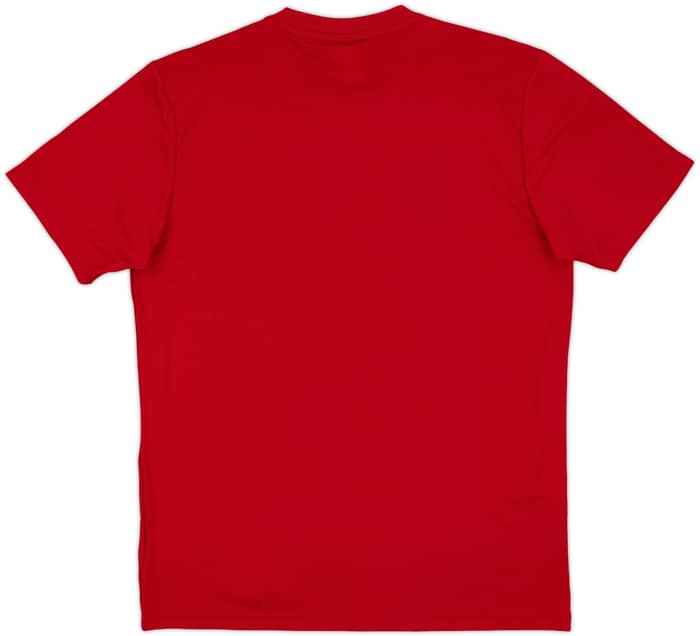 2013-14 Spain '2010 Campeones' adidas Training Shirt (M)