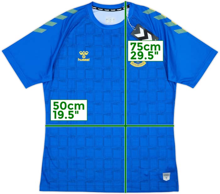 2021-22 Southampton Hummel Training Shirt (M)
