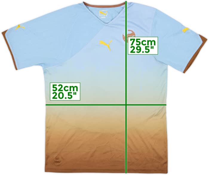 2010-11 Africa Unity Special Edition Third Shirt Africa #10 - 6/10 - (L)