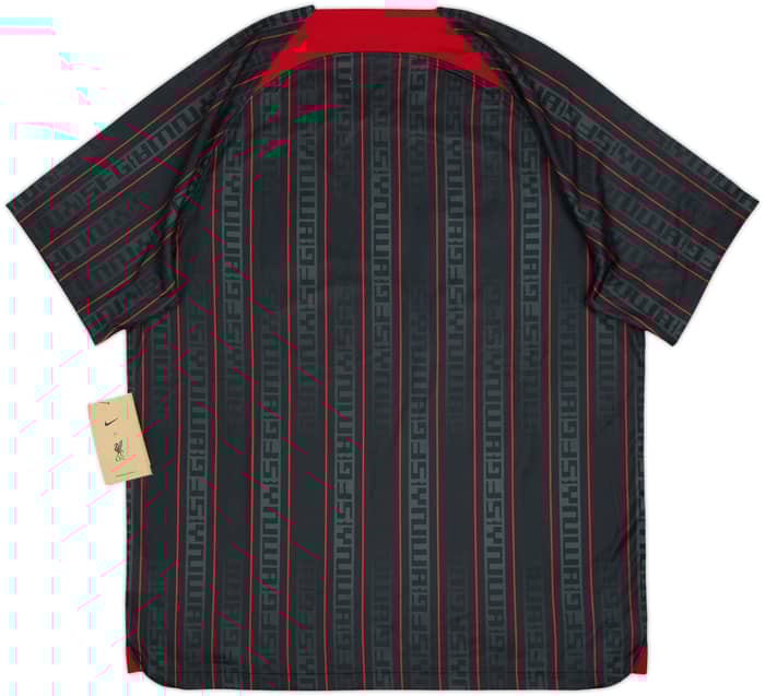 2023-24 Liverpool Nike x LeBron James Training Shirt (XL)