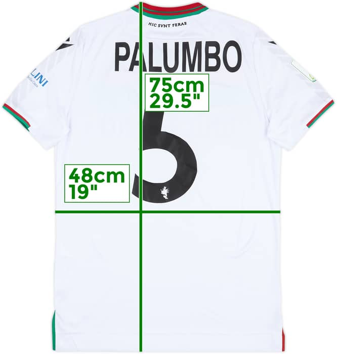 2021-22 Ternana Match Issue Away Shirt Palumbo #5