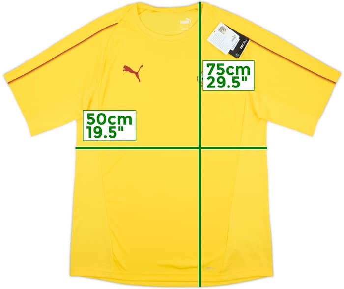 2018-19 Ghana Puma Training Shirt (L)
