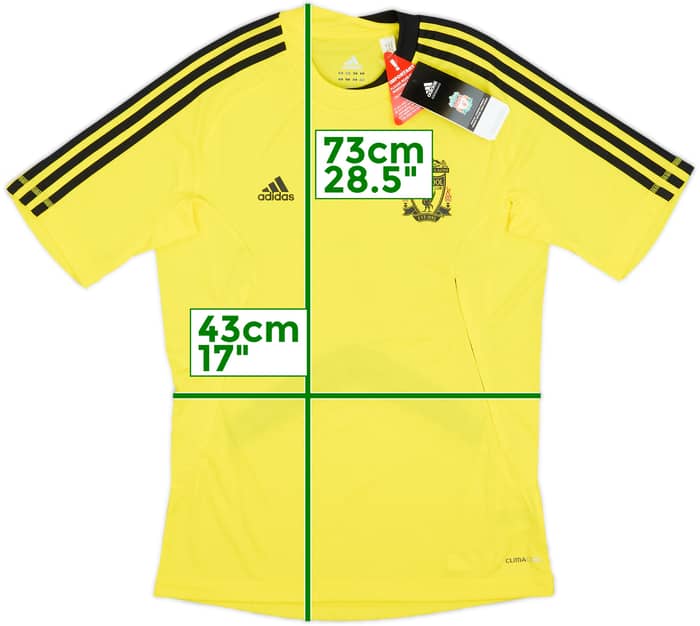2010-11 Liverpool adidas Training Shirt (S)