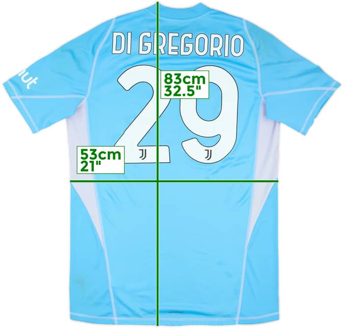 2024-25 Juventus Match Worn Champions League GK Shirt Di Gregorio #29