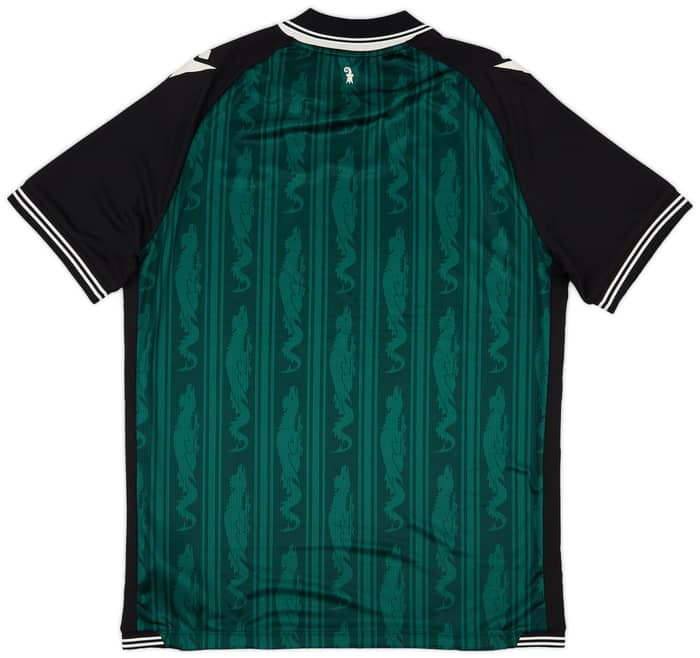 2024-25 FC Basel Third Shirt
