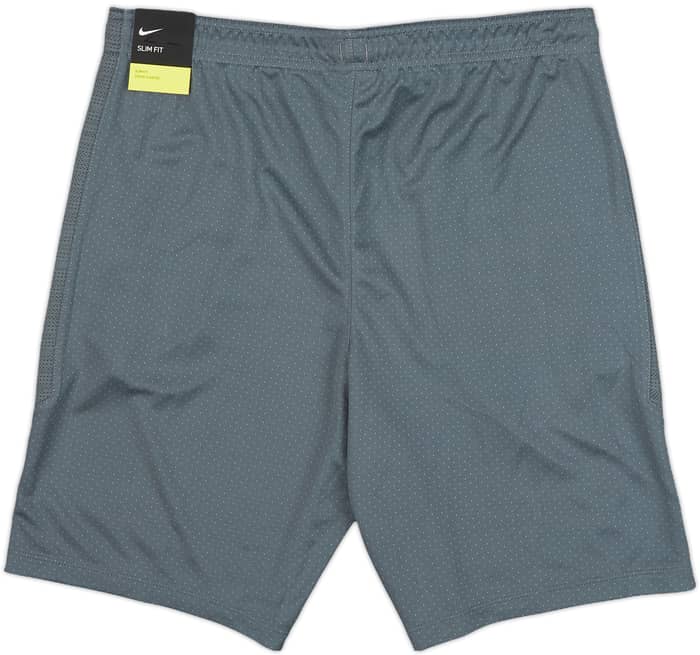 2019-20 Tottenham Nike Training Shorts (M)