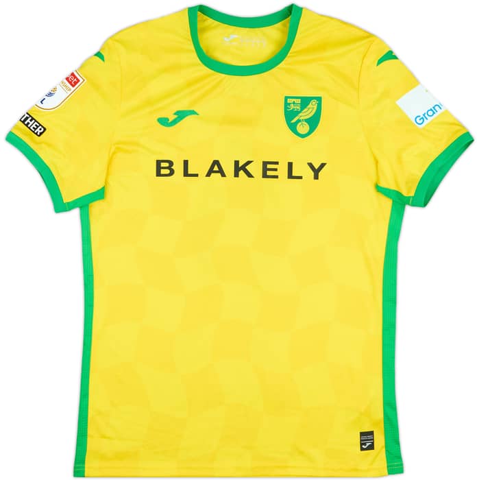 2024-25 Norwich City Match Issue Home Shirt Doyle #6