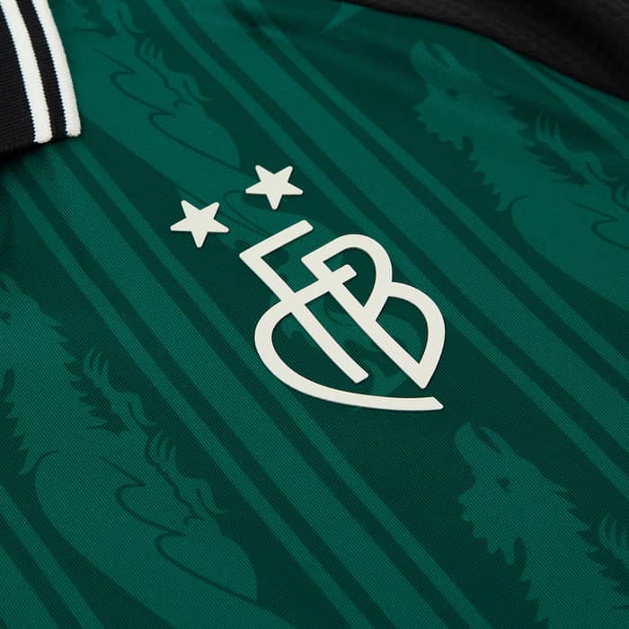 2024-25 FC Basel Third Shirt