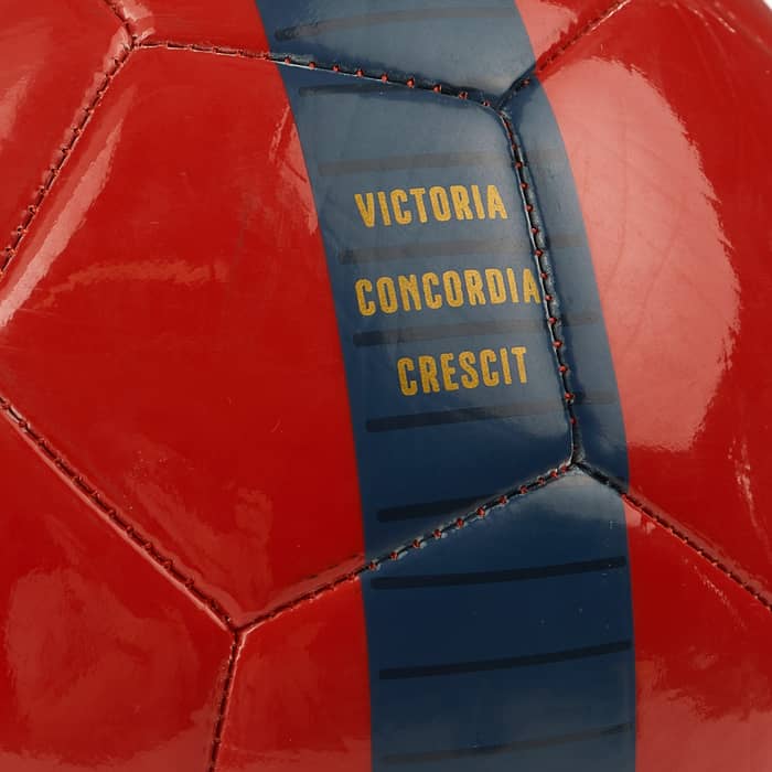Arsenal Puma Supporters Ball (5)