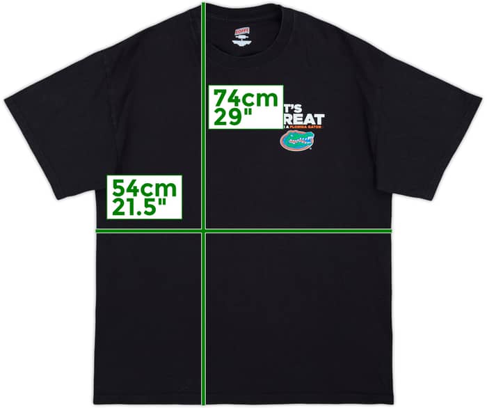 2014 Florida Gators Graphic Tee - 6/10 - (L)