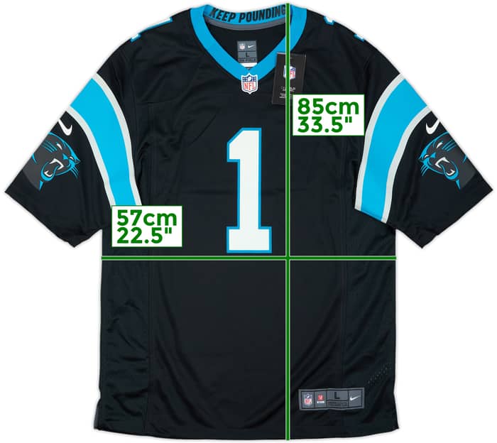 2012-19 Carolina Panthers Newton #1 Nike Game Home Jersey (L)