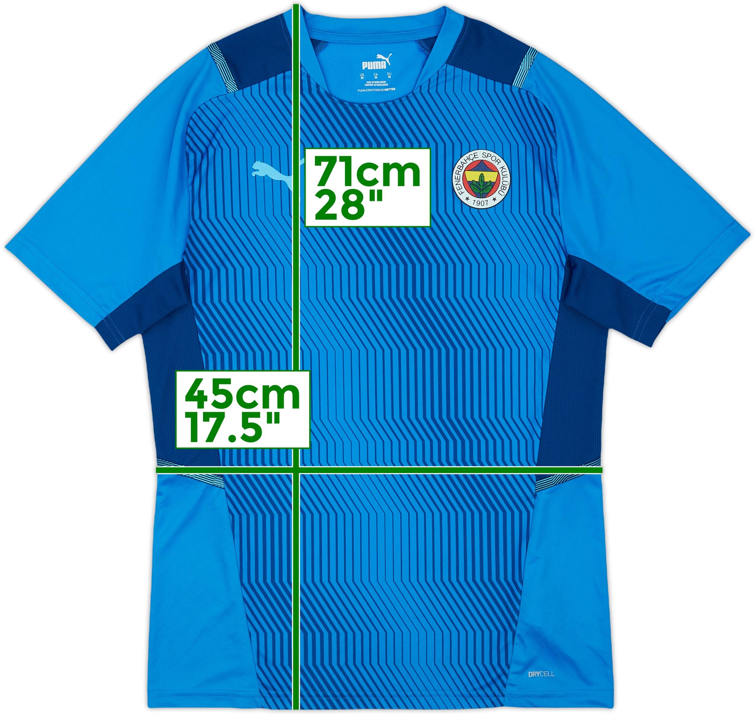 Puma Fenerbahce Ozil Shirt 2021-22 Fenerbahce Puma Training Shirt