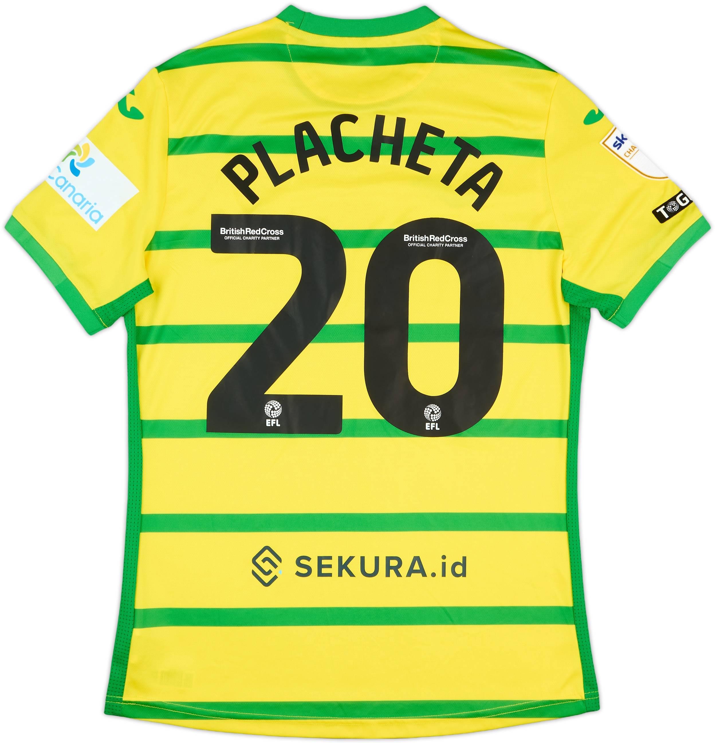2023-24 Norwich City Match Issue Home Shirt Placheta #20