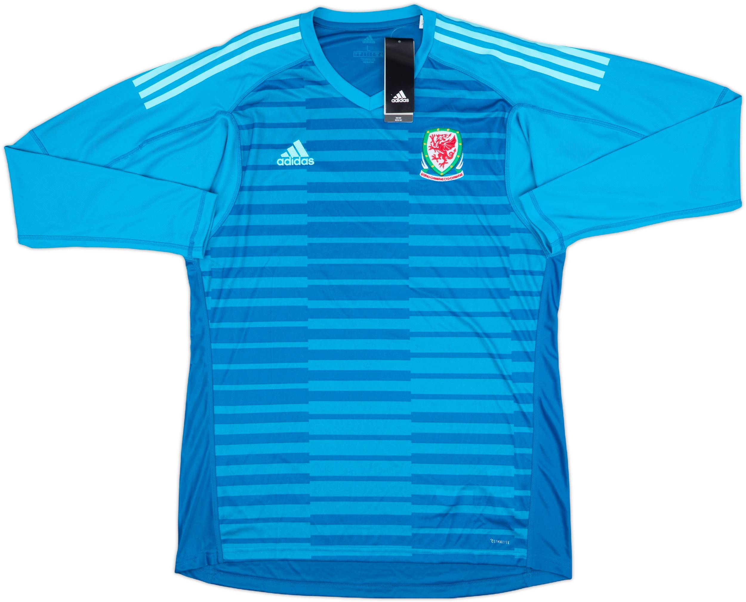 2018-20 Wales GK Shirt (L)