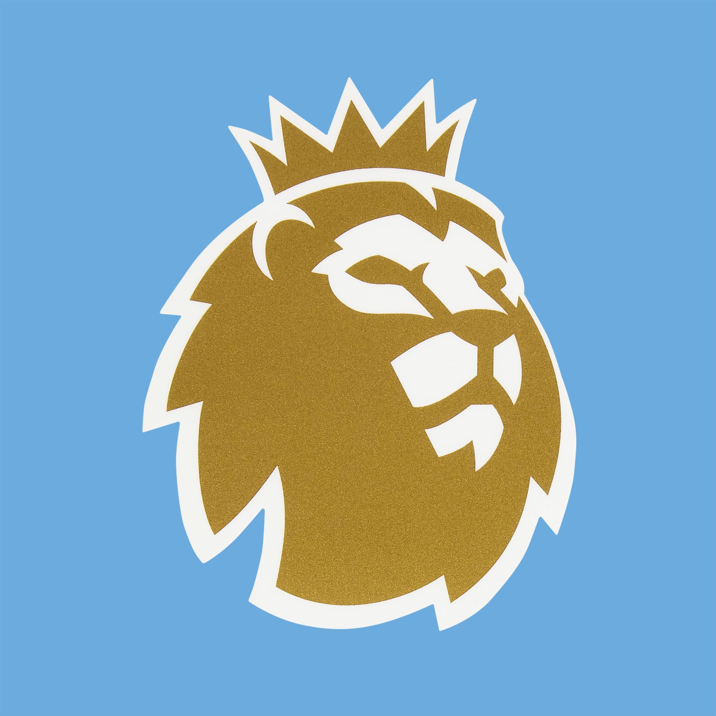 2023-25 Premier League Champions Player Issue Patch