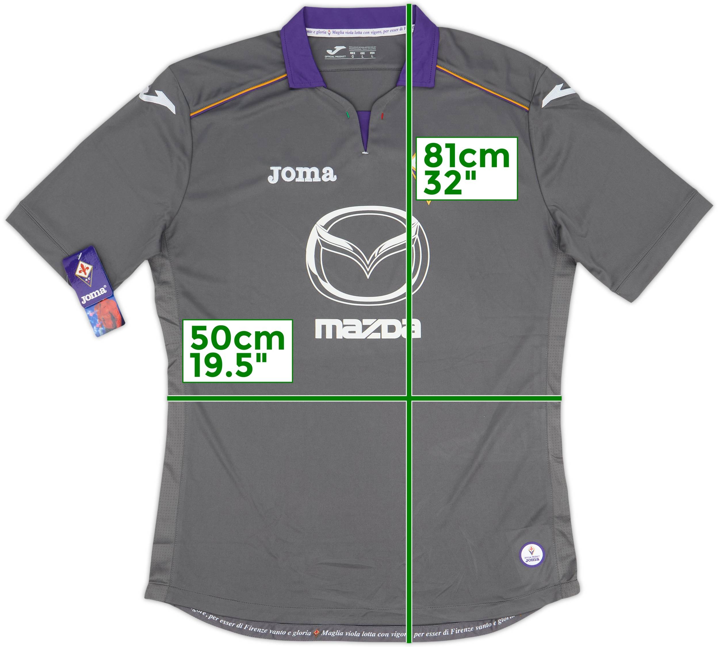 2013-14 Fiorentina Third Shirt (L)