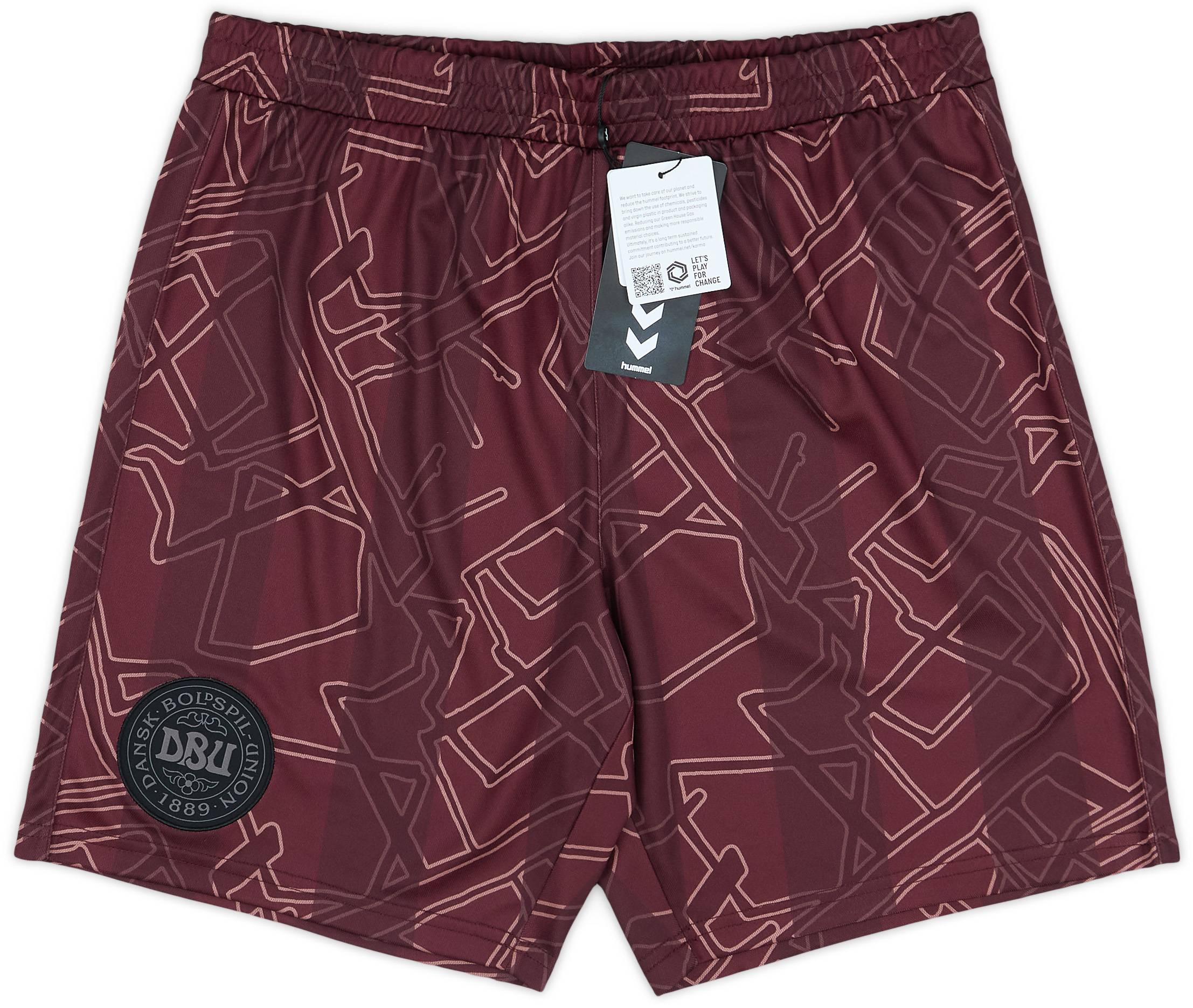 2024 25 Denmark Special Edition Hummel x Halo Shorts
