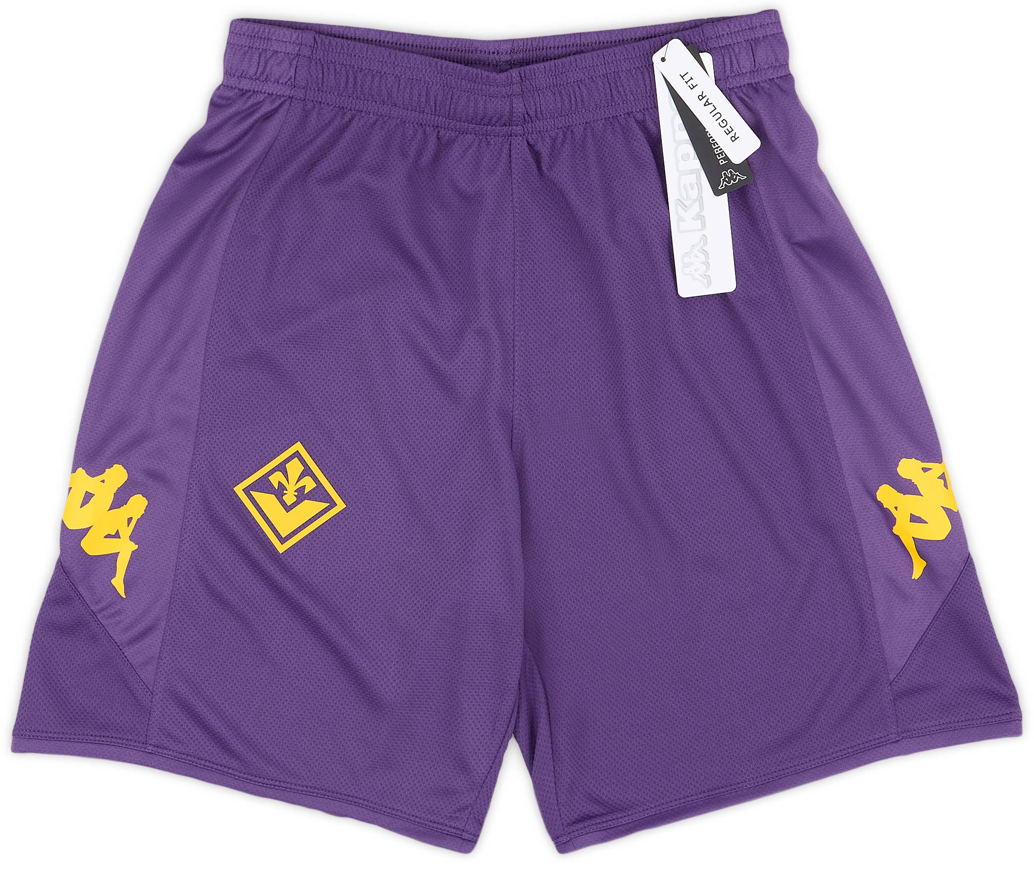 2023-24 Fiorentina Kappa Training Shorts (S)