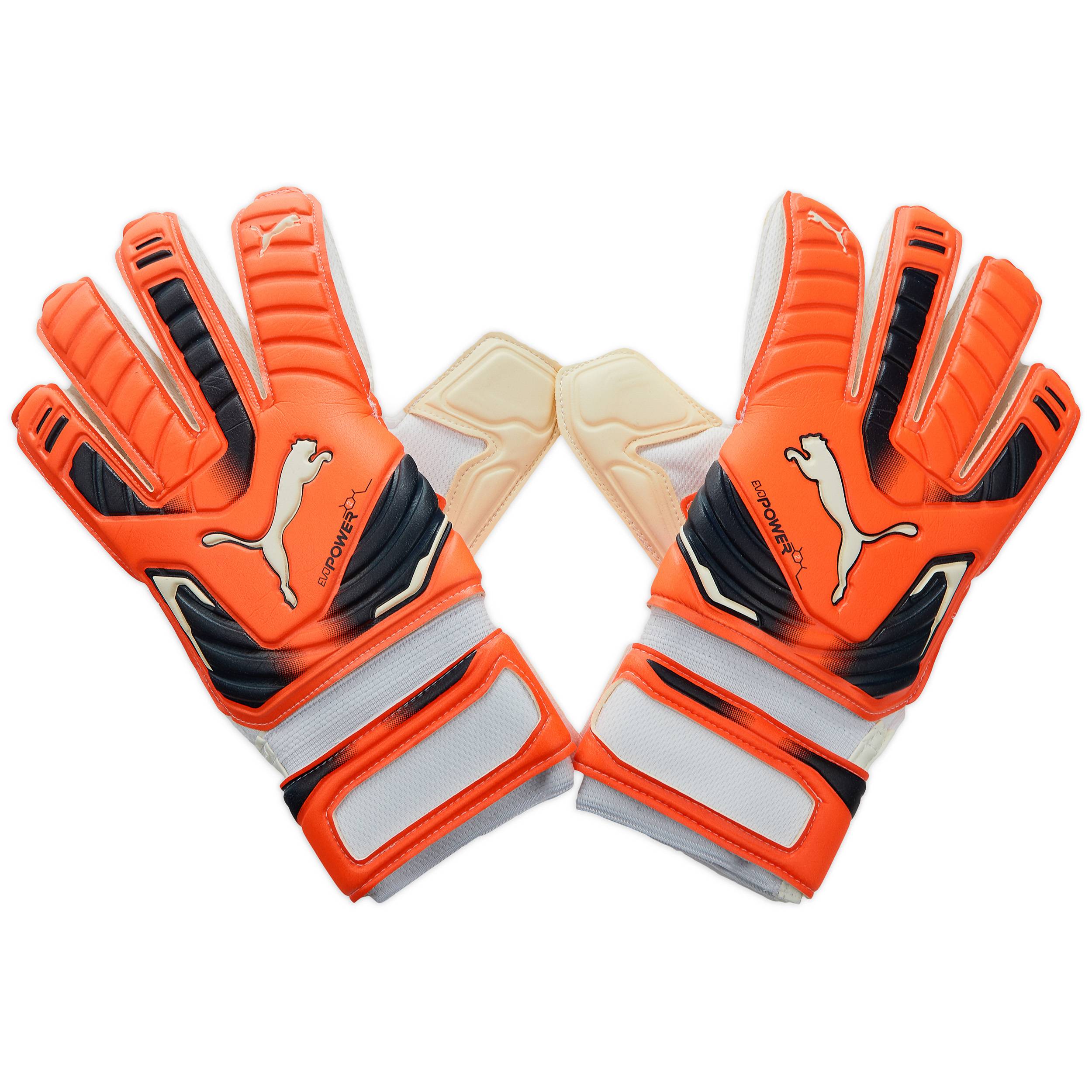 Puma EvoPower Grip 2 GK Gloves