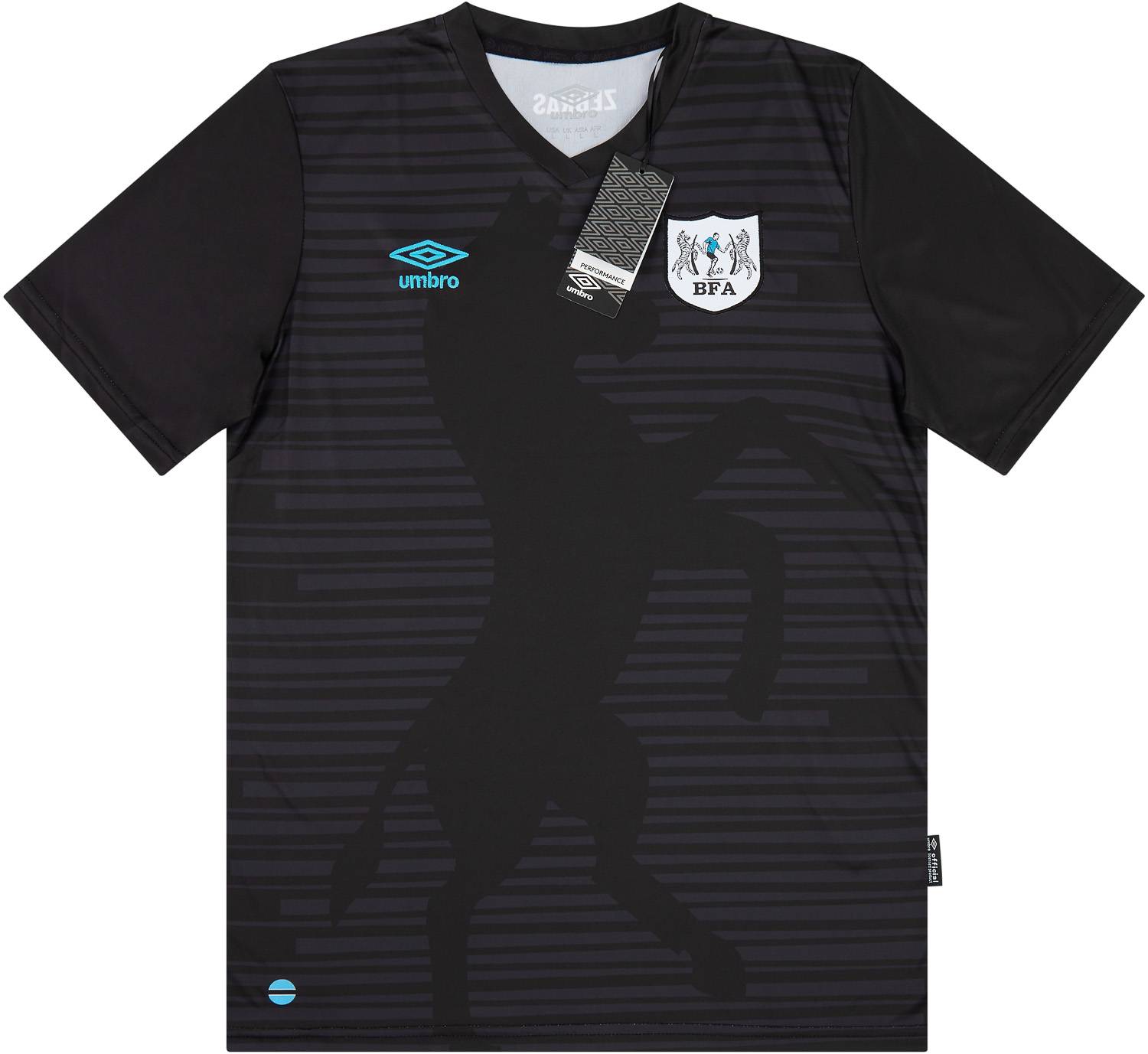 2021-22 Botswana Third Shirt