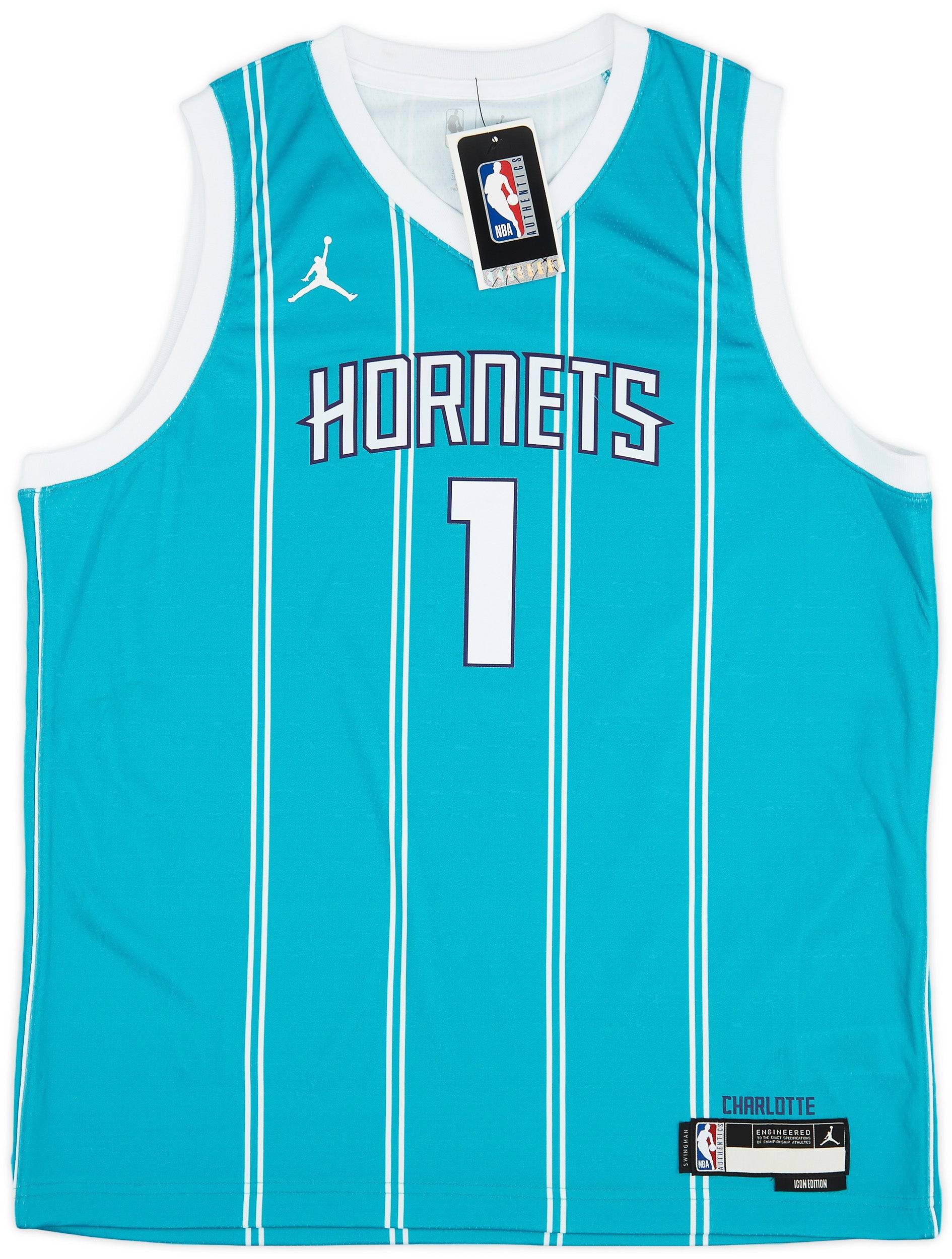 Charlotte hornets swingman jersey shop